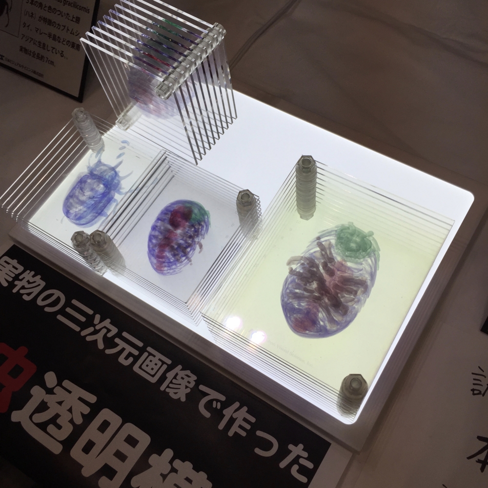 f:id:smoglog:20160212011535j:plain