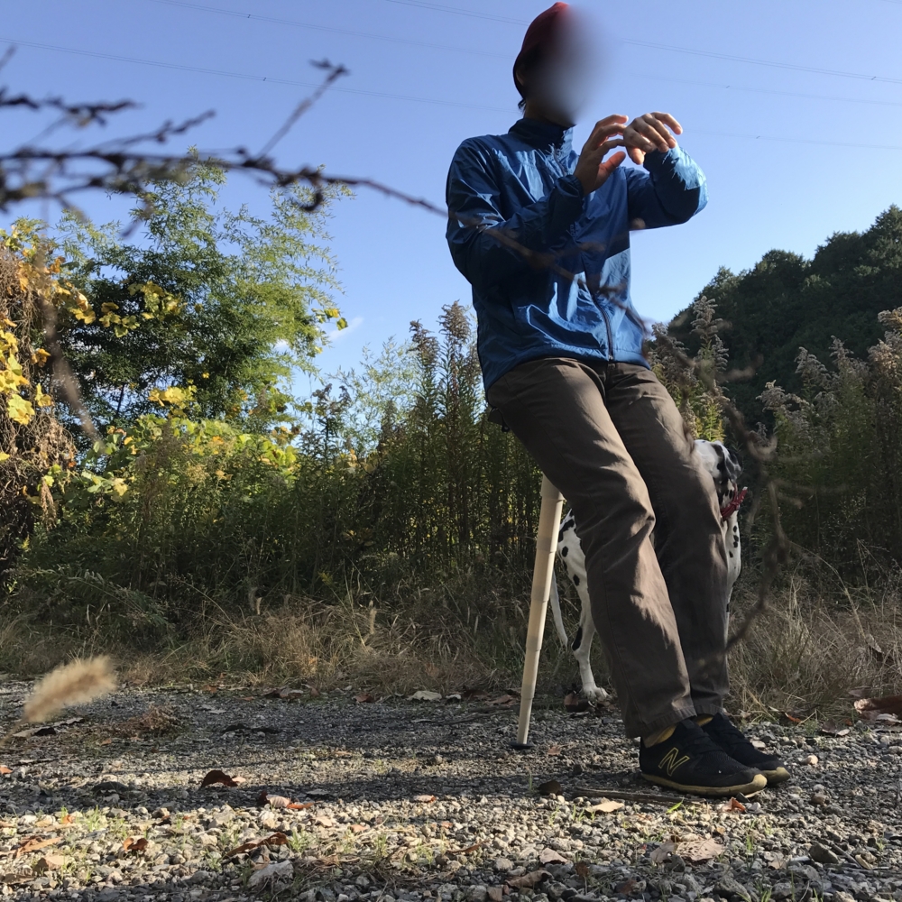 f:id:smoglog:20161111113202j:plain