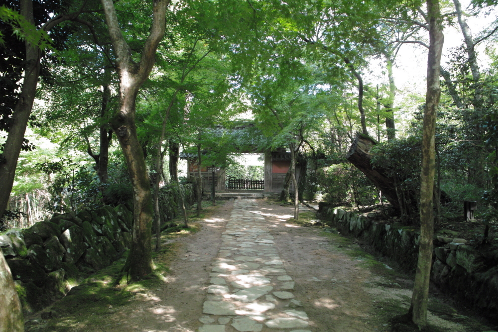 f:id:smoglog:20170922230148j:plain