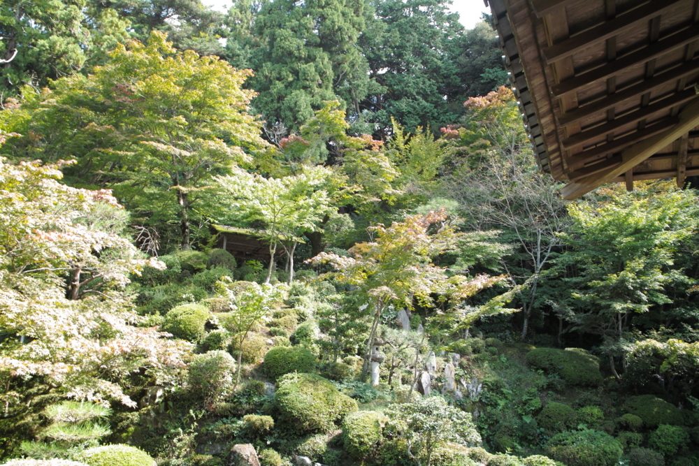 f:id:smoglog:20170922230150j:plain