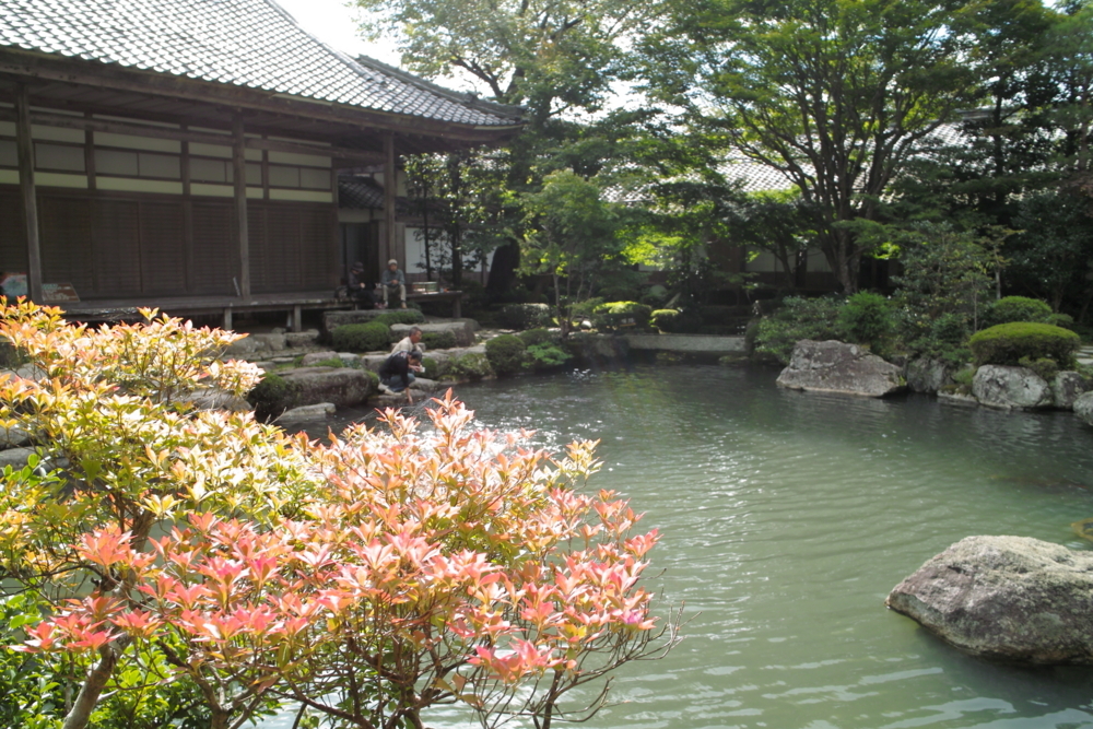 f:id:smoglog:20170922230153j:plain