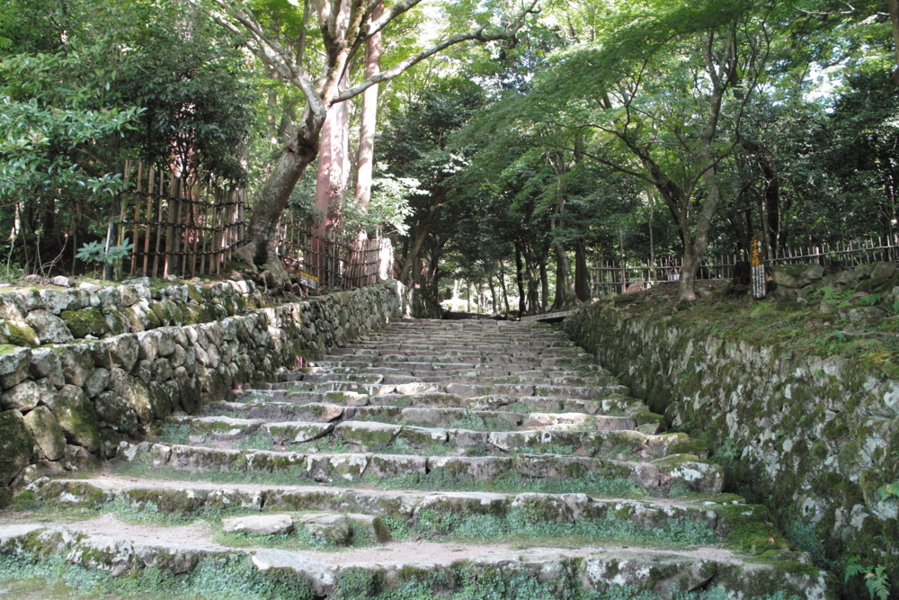 f:id:smoglog:20170922230154j:plain