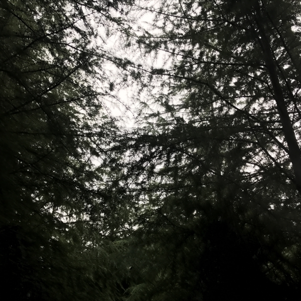 f:id:smoglog:20171102224542j:plain