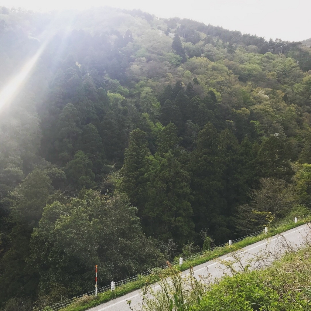 f:id:smoglog:20180416201821j:plain