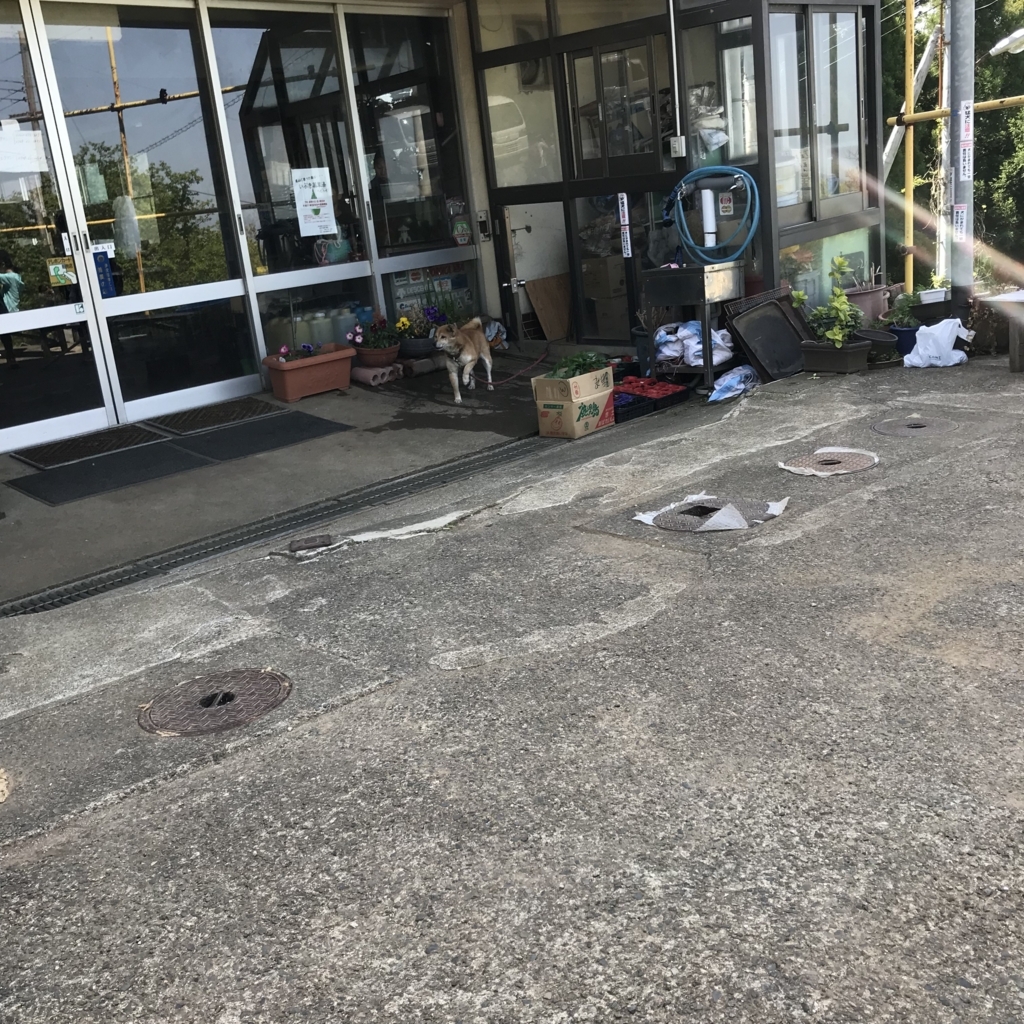 f:id:smoglog:20180429201155j:plain