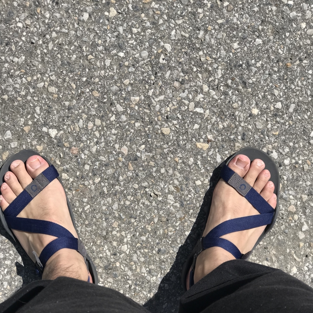 f:id:smoglog:20180617210548j:plain f:id:smoglog:20180617210548j:plain