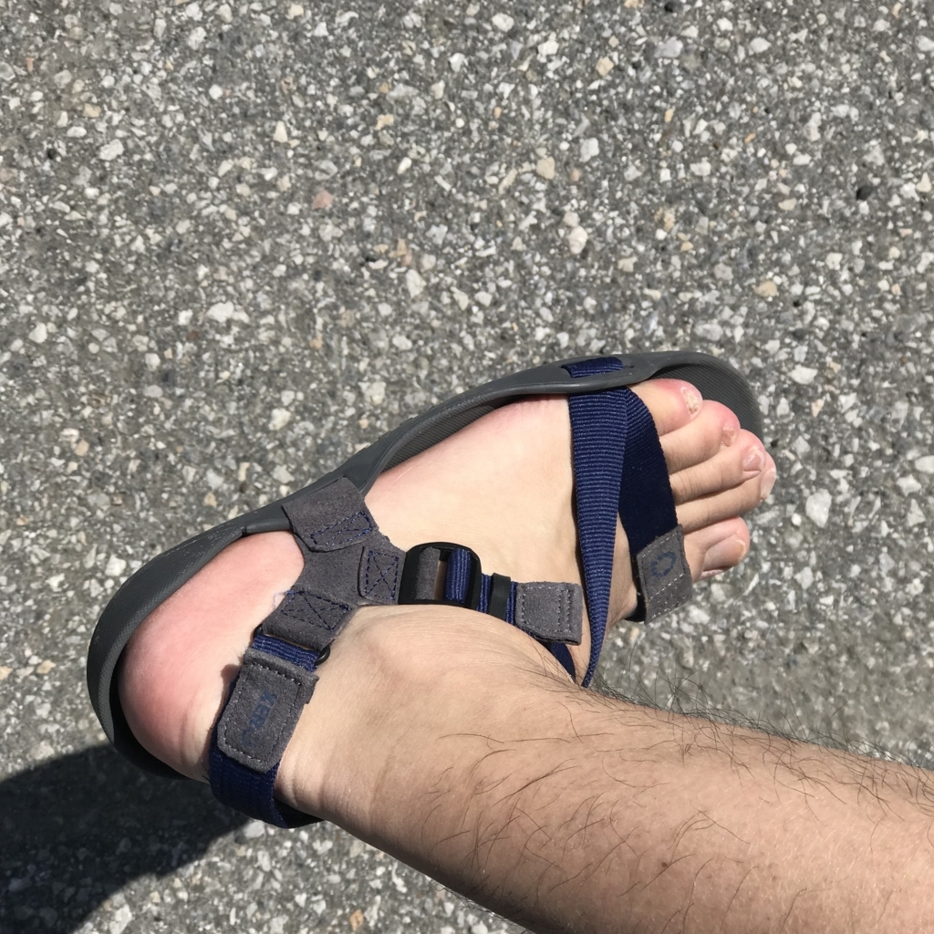 f:id:smoglog:20180617210600j:plain f:id:smoglog:20180617210600j:plain