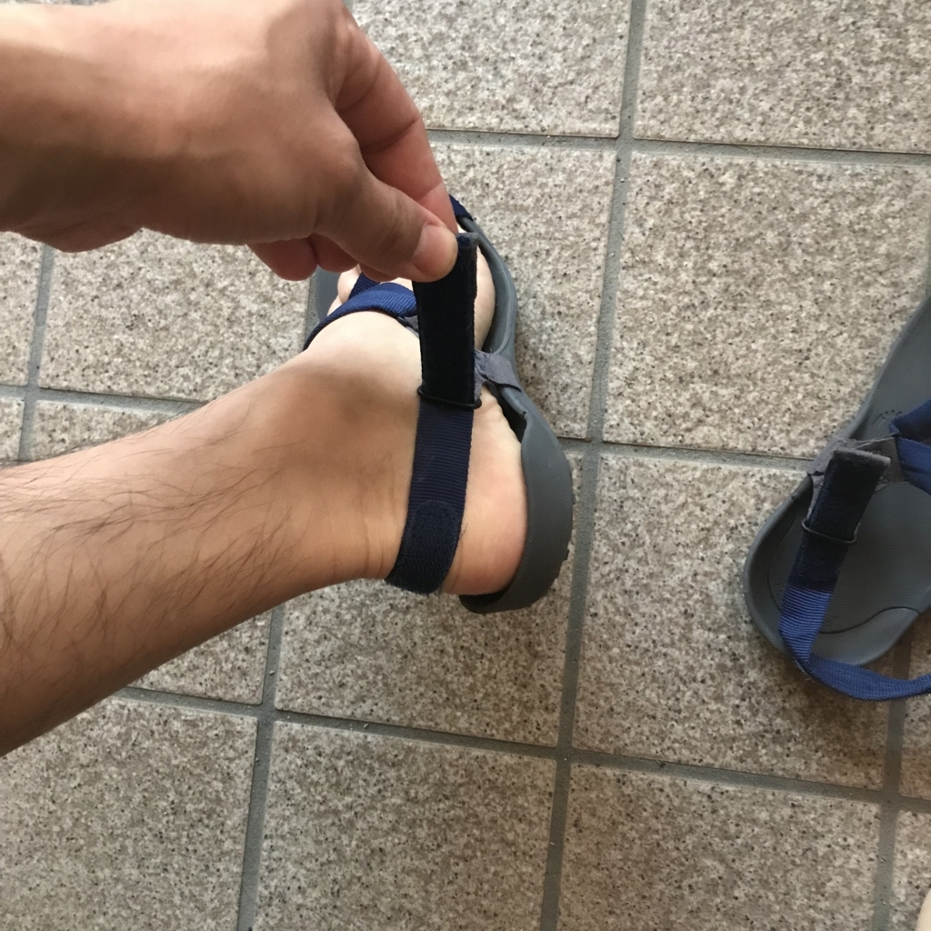 f:id:smoglog:20180617210615j:plain f:id:smoglog:20180617210615j:plain