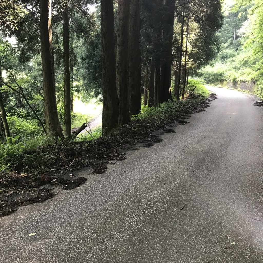 f:id:smoglog:20180625211637j:plain