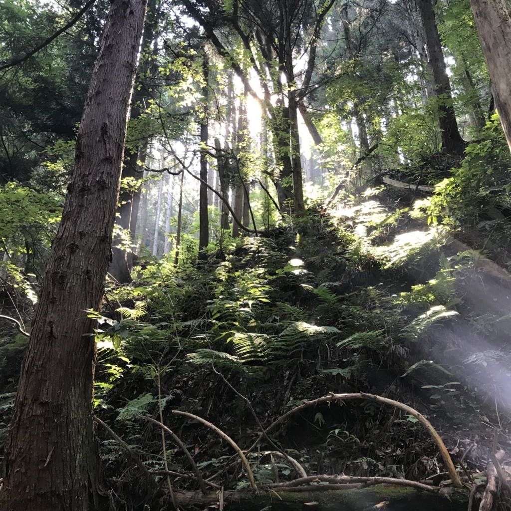 f:id:smoglog:20180625211652j:plain