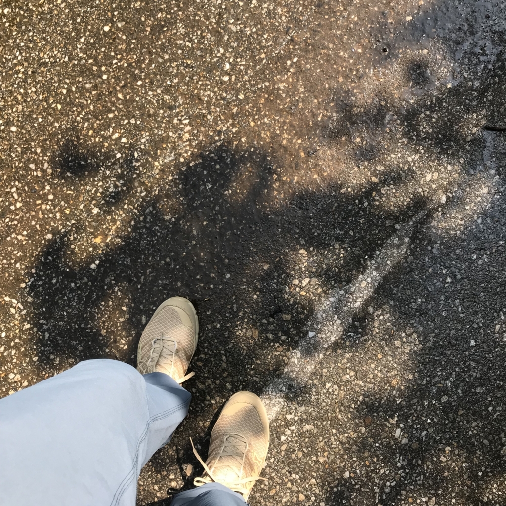 f:id:smoglog:20180625211729j:plain