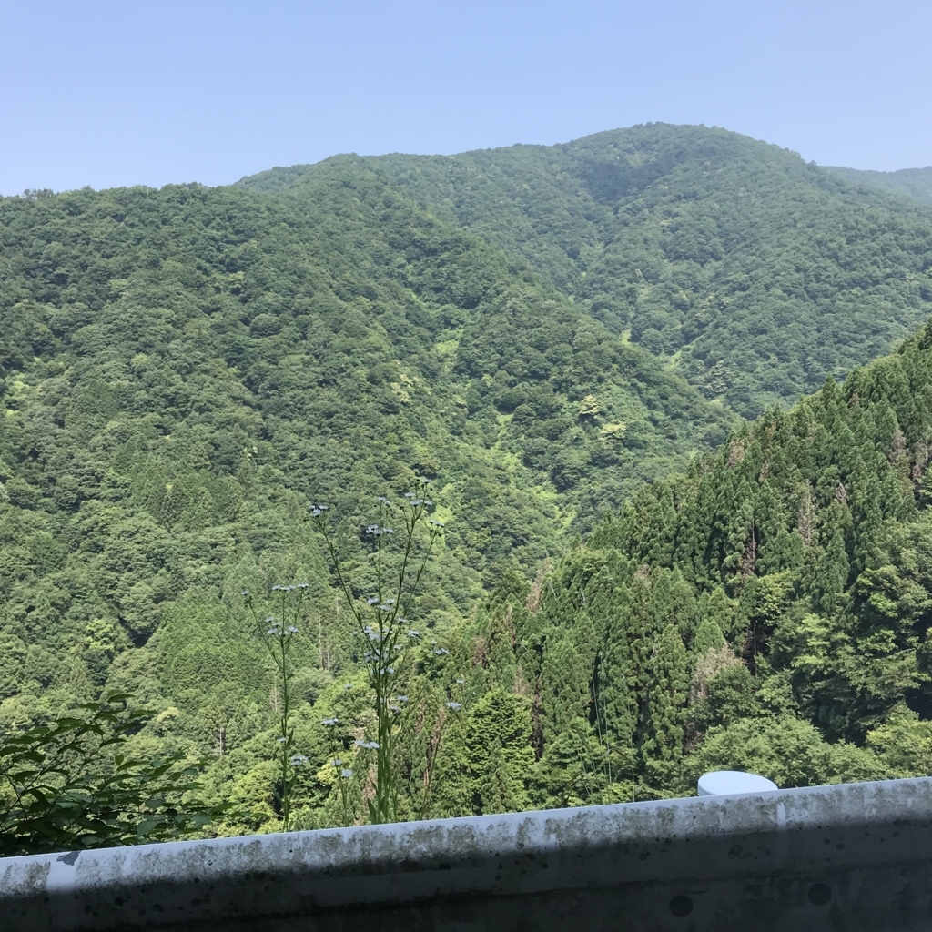 f:id:smoglog:20180625211743j:plain