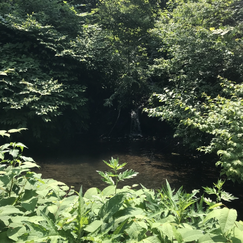 f:id:smoglog:20180625211758j:plain