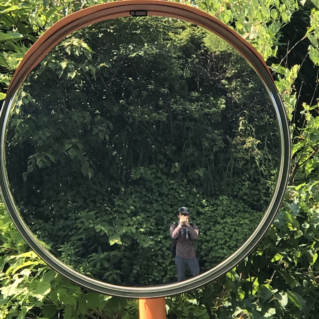 f:id:smoglog:20180625211830j:plain