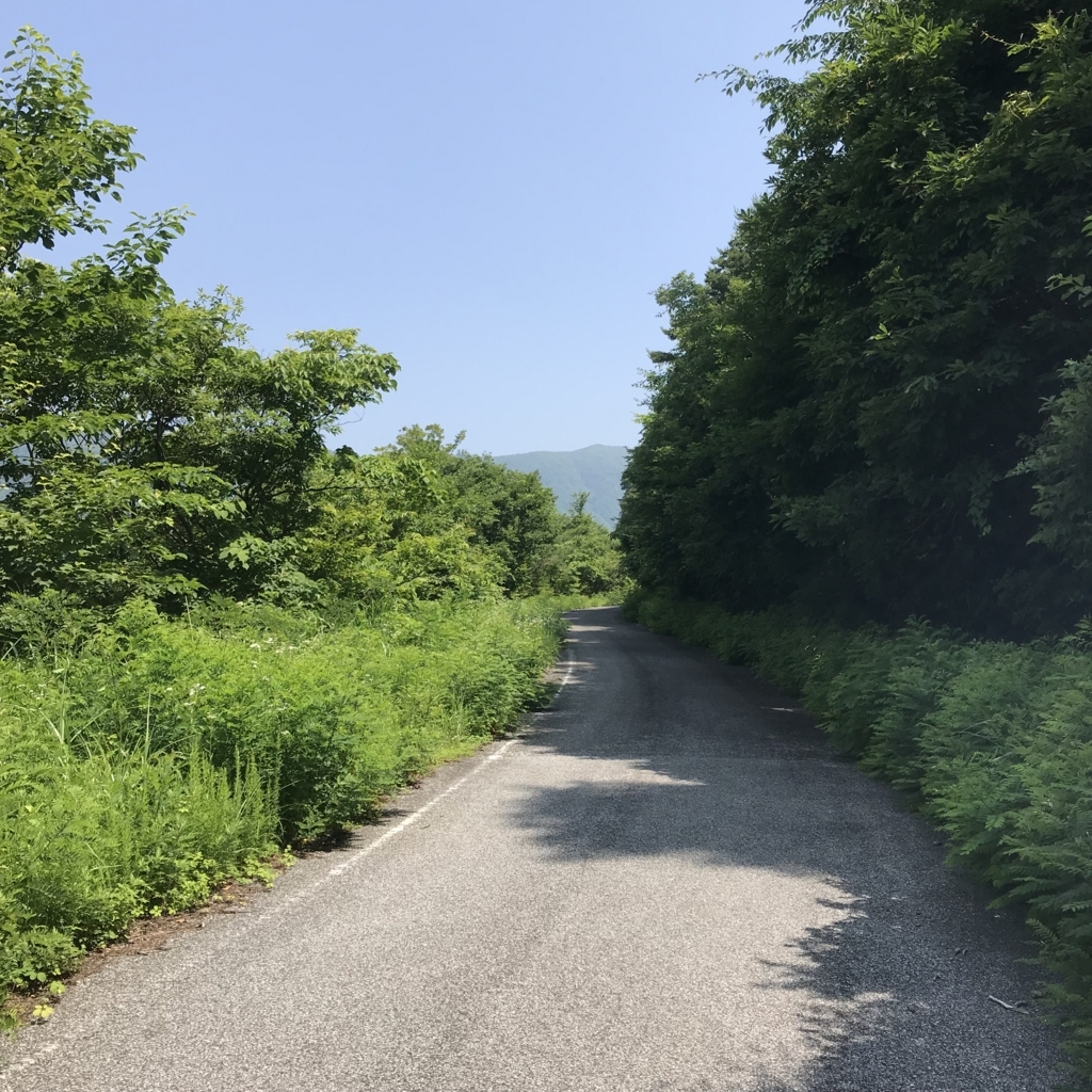 f:id:smoglog:20180625211851j:plain