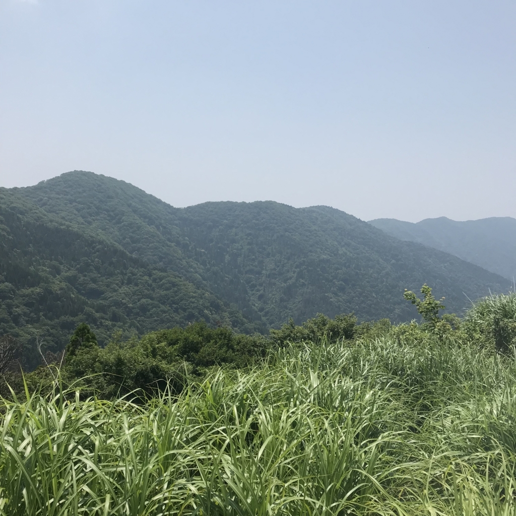 f:id:smoglog:20180625211903j:plain