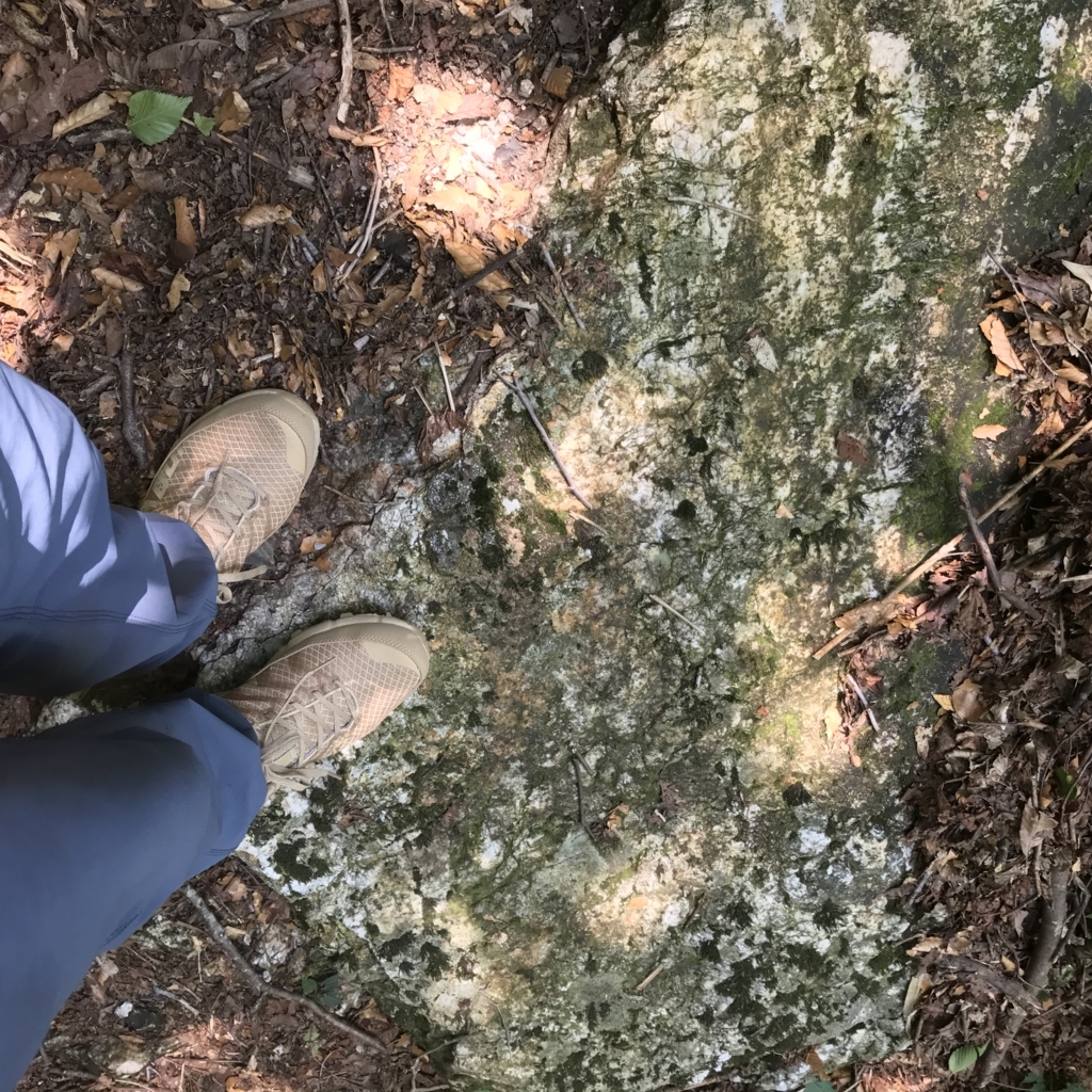 f:id:smoglog:20180625211930j:plain