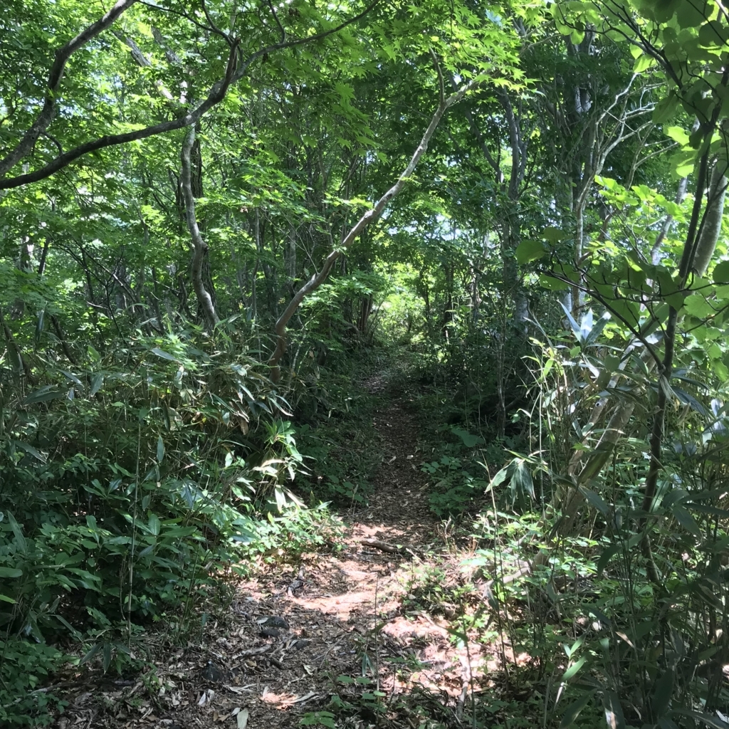 f:id:smoglog:20180625212012j:plain