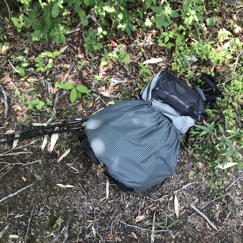 f:id:smoglog:20180625212046j:plain