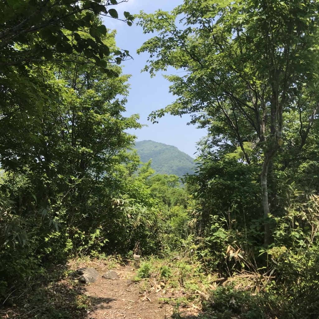 f:id:smoglog:20180625212112j:plain