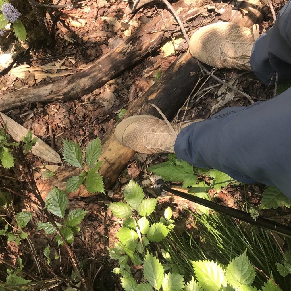 f:id:smoglog:20180625212406j:plain