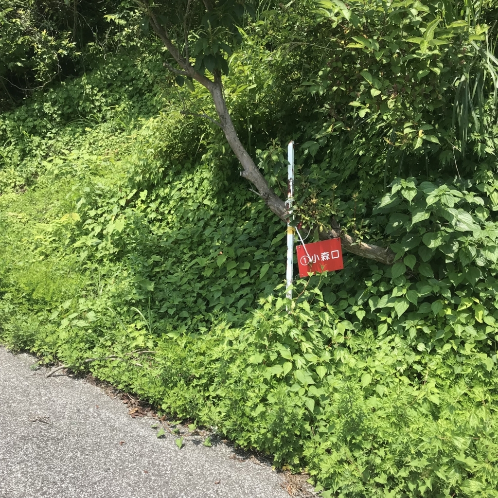 f:id:smoglog:20180625212437j:plain