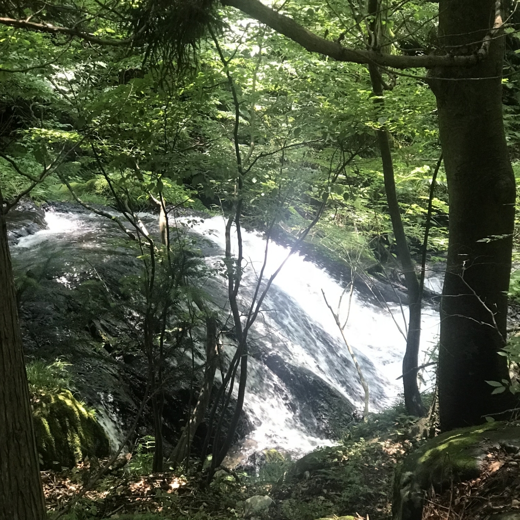 f:id:smoglog:20180625212534j:plain