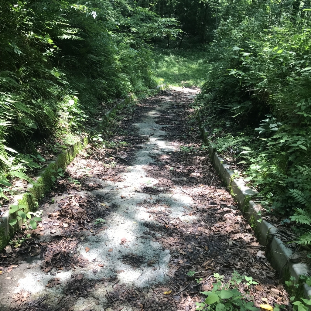 f:id:smoglog:20180625212632j:plain