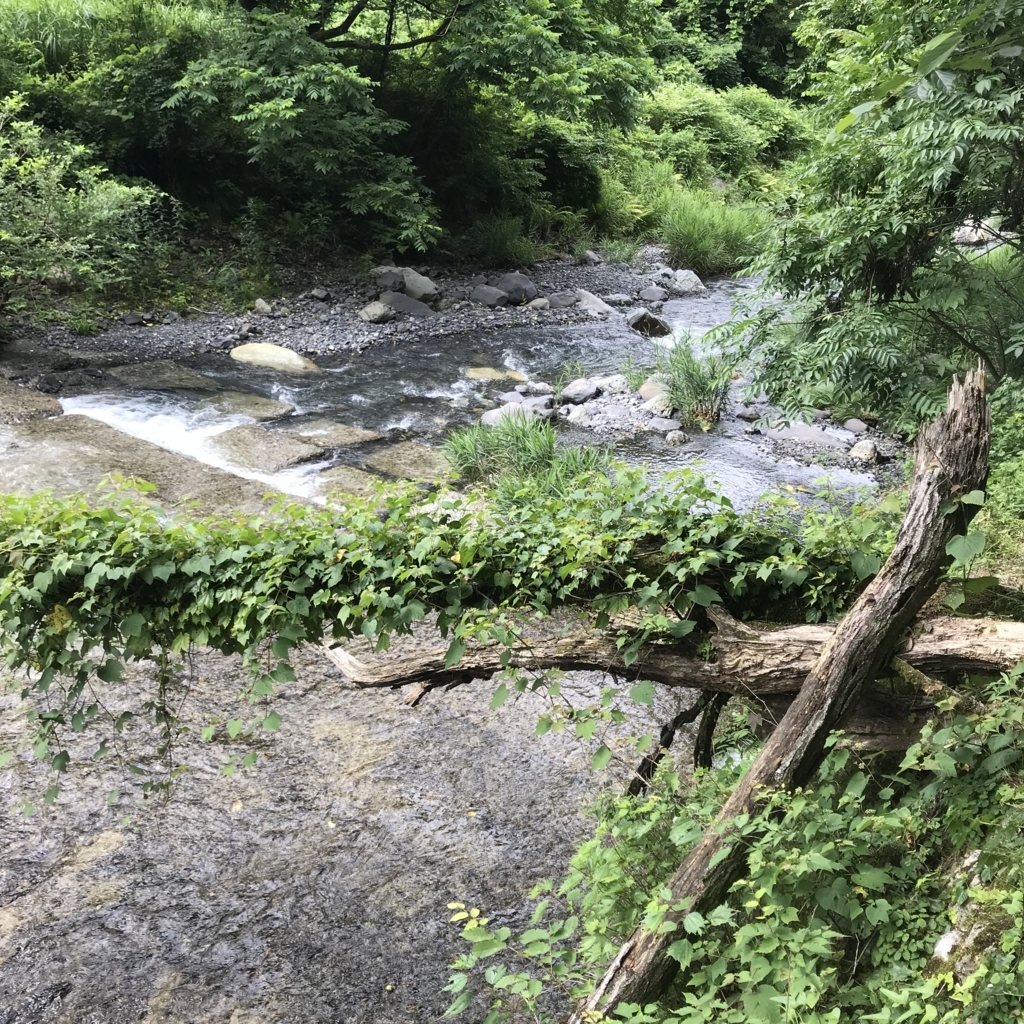 f:id:smoglog:20180702174437j:plain