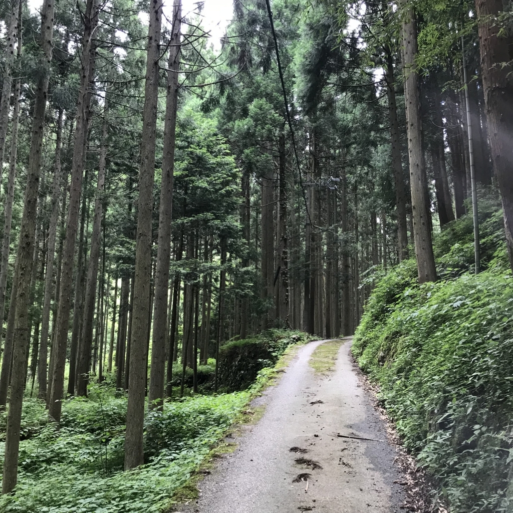 f:id:smoglog:20180702174450j:plain
