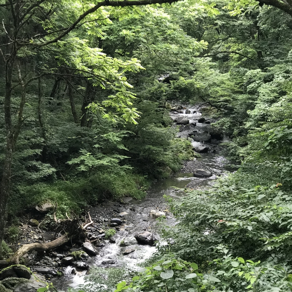 f:id:smoglog:20180702174556j:plain