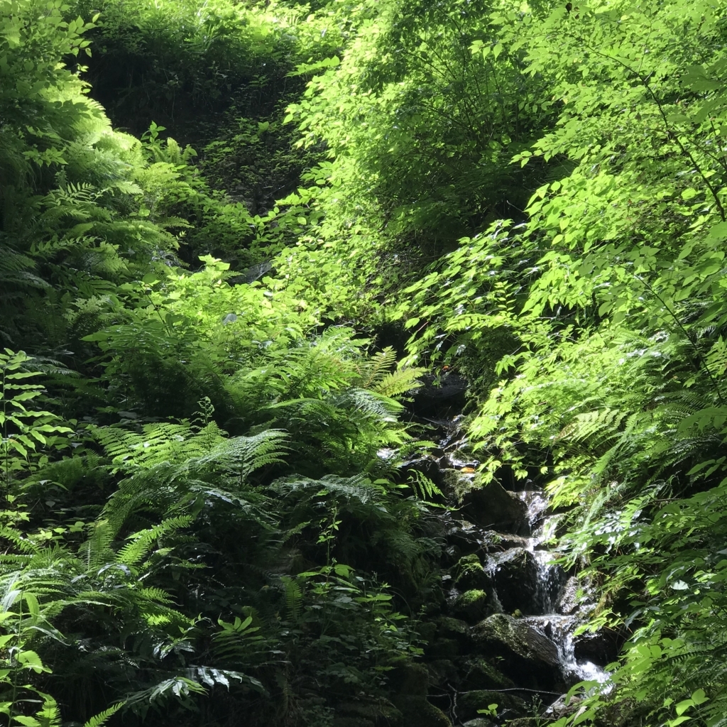 f:id:smoglog:20180702174609j:plain