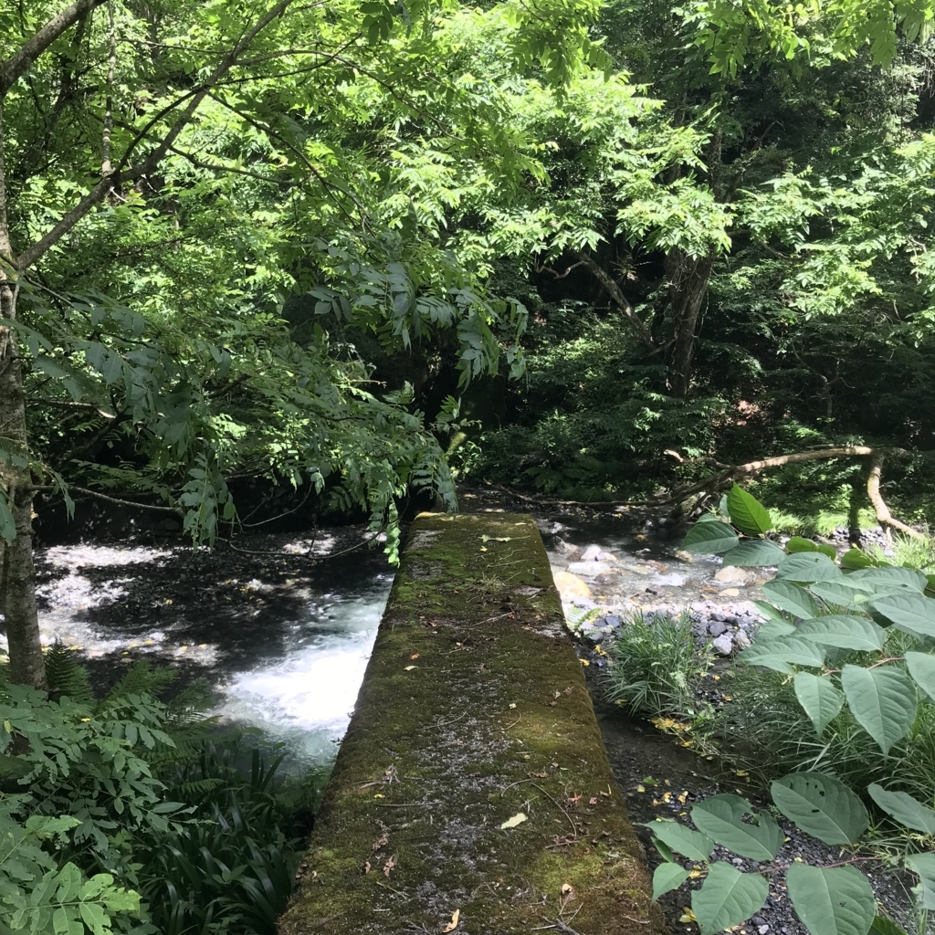 f:id:smoglog:20180702174623j:plain