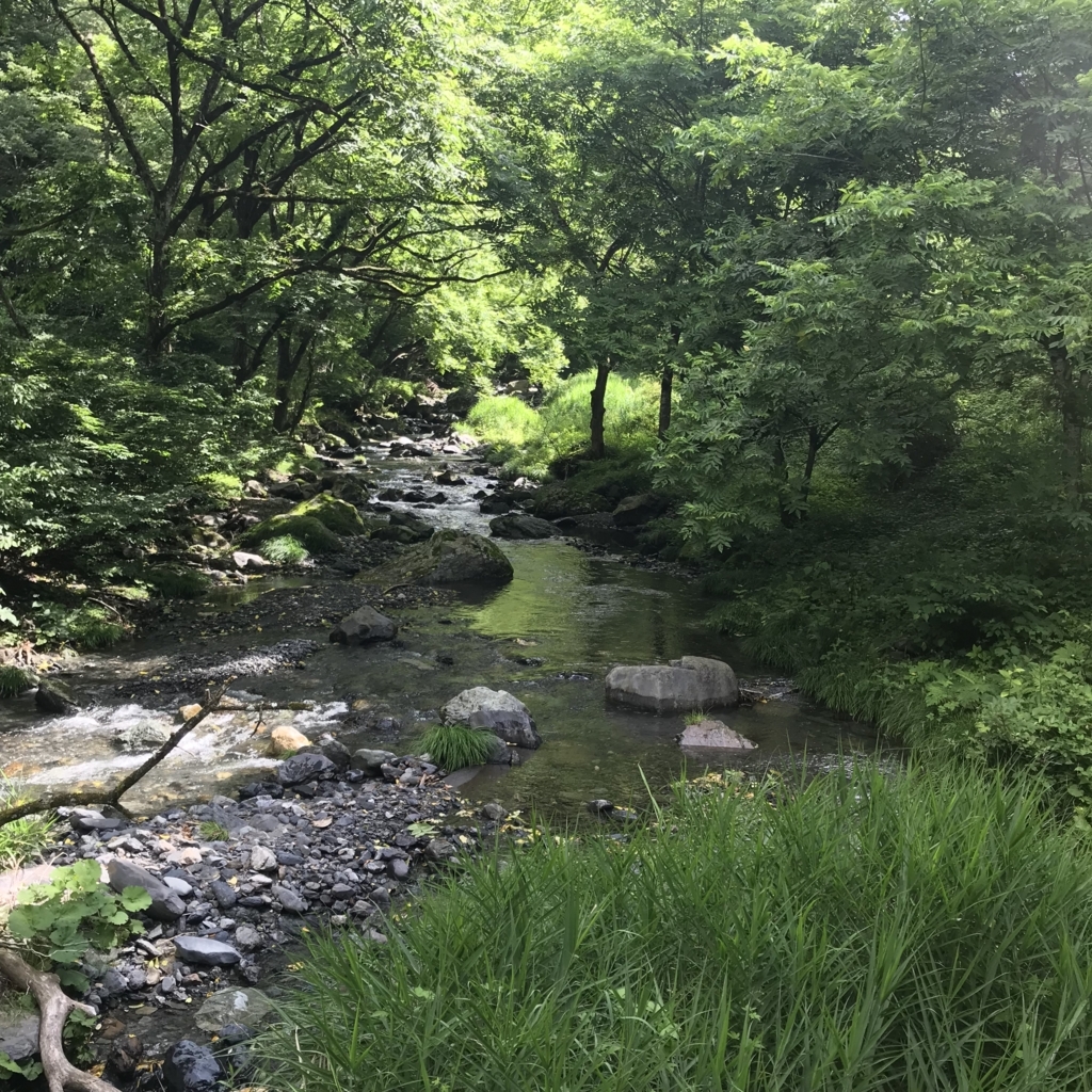 f:id:smoglog:20180702174650j:plain