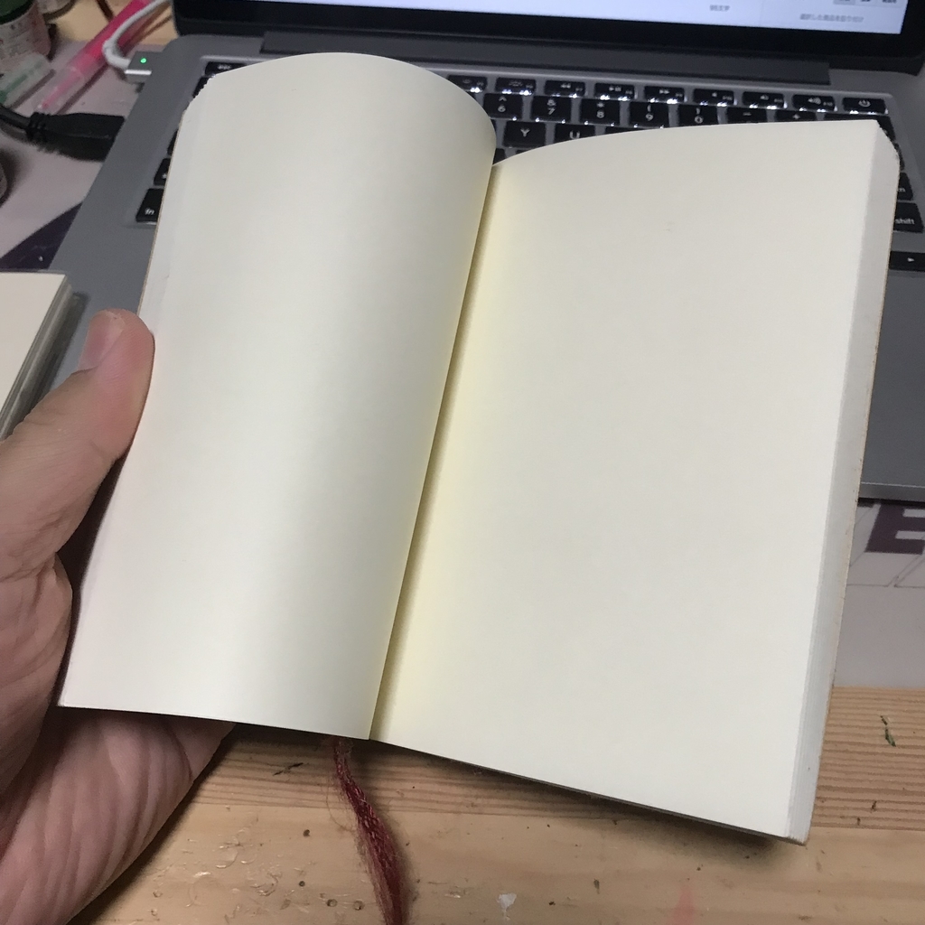 私の手帳術……手帳は使わず貯めるもの 毒雲日記 私の手帳術……手帳は使わず貯めるもの 毒雲日記