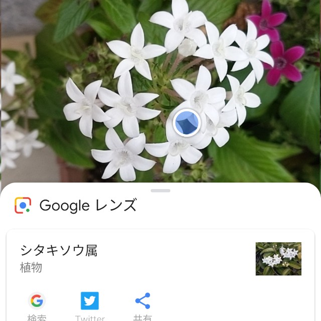 f:id:smoglog:20181106200120j:plain