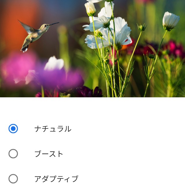 f:id:smoglog:20181106200125j:plain