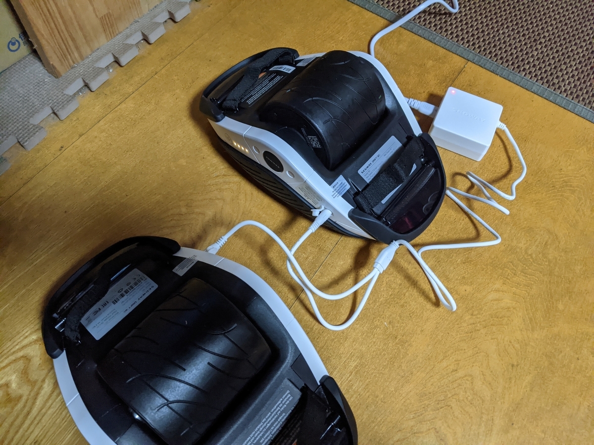 スニーカーを買う気持ちで-セグウェイ ドリフト W1 - smogbom