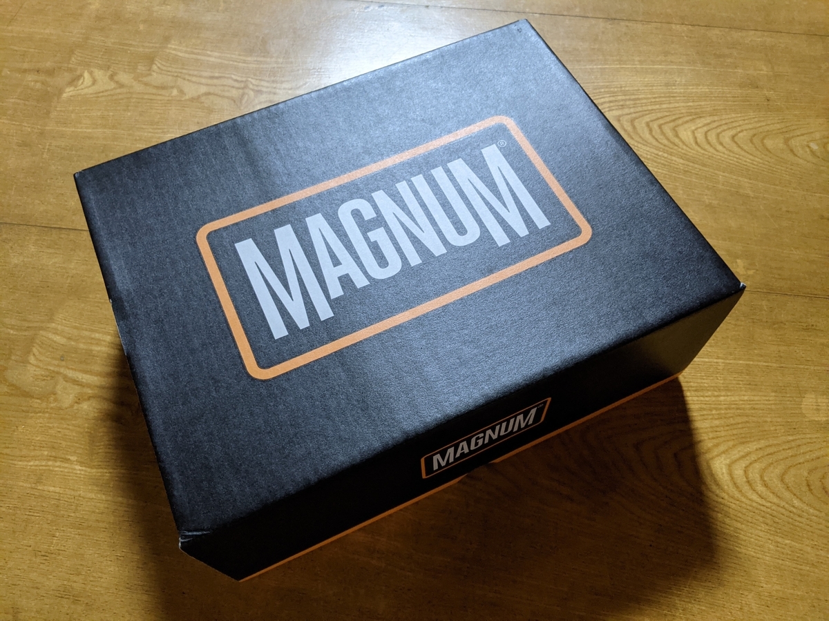 f:id:smoglog:20210316233608j:plain