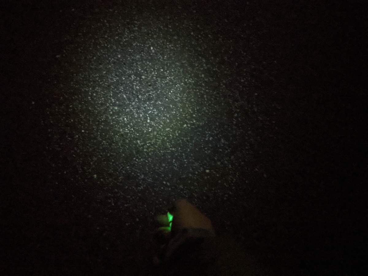 f:id:smoglog:20210504171034j:plain