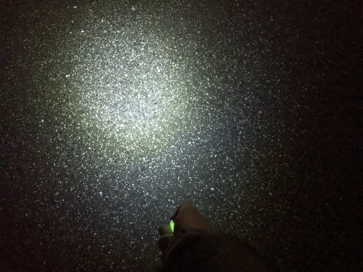 f:id:smoglog:20210504171039j:plain