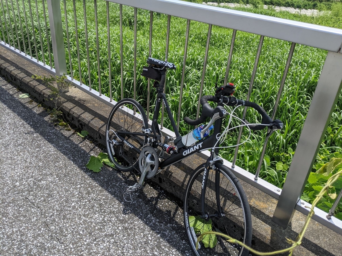 f:id:smoglog:20210703214512j:plain