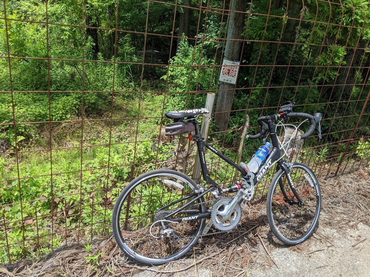 f:id:smoglog:20210703215317j:plain