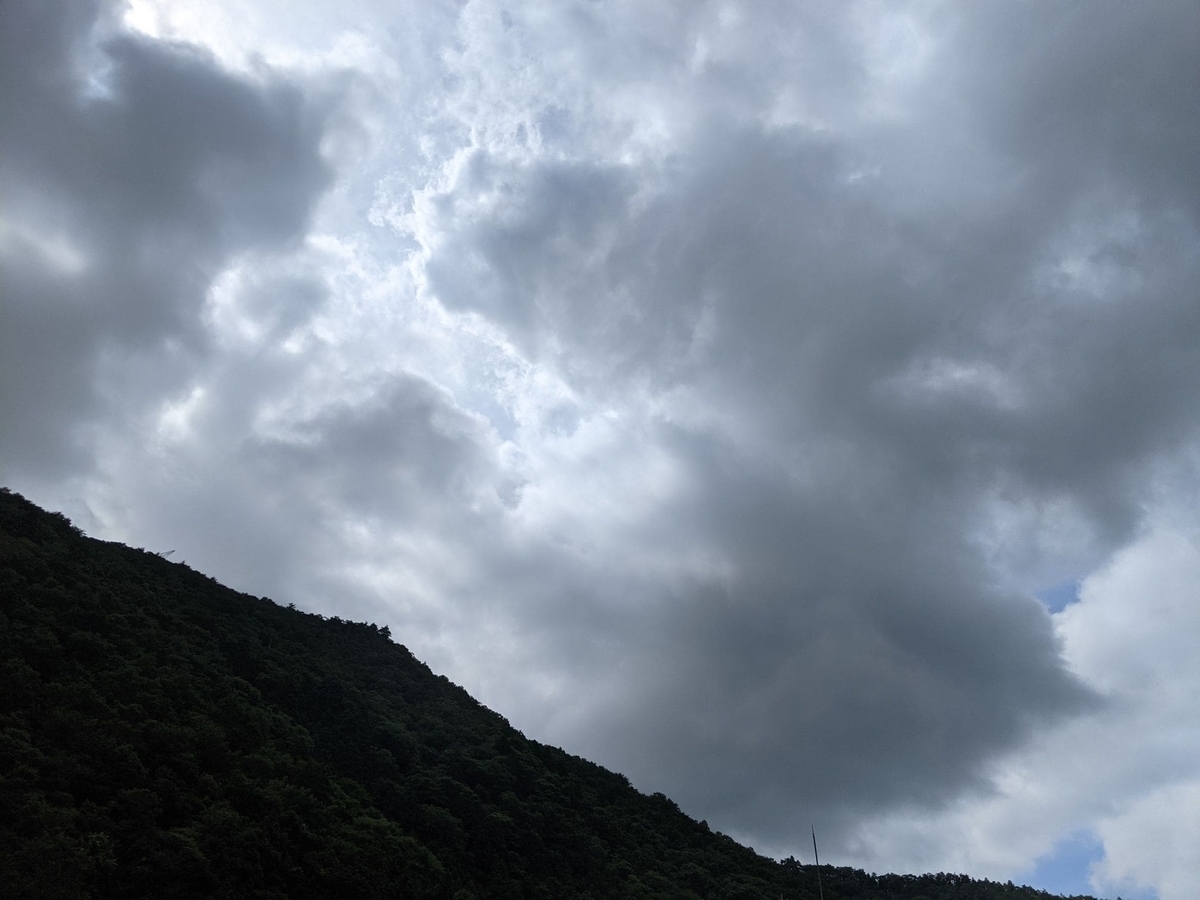 f:id:smoglog:20210703215329j:plain