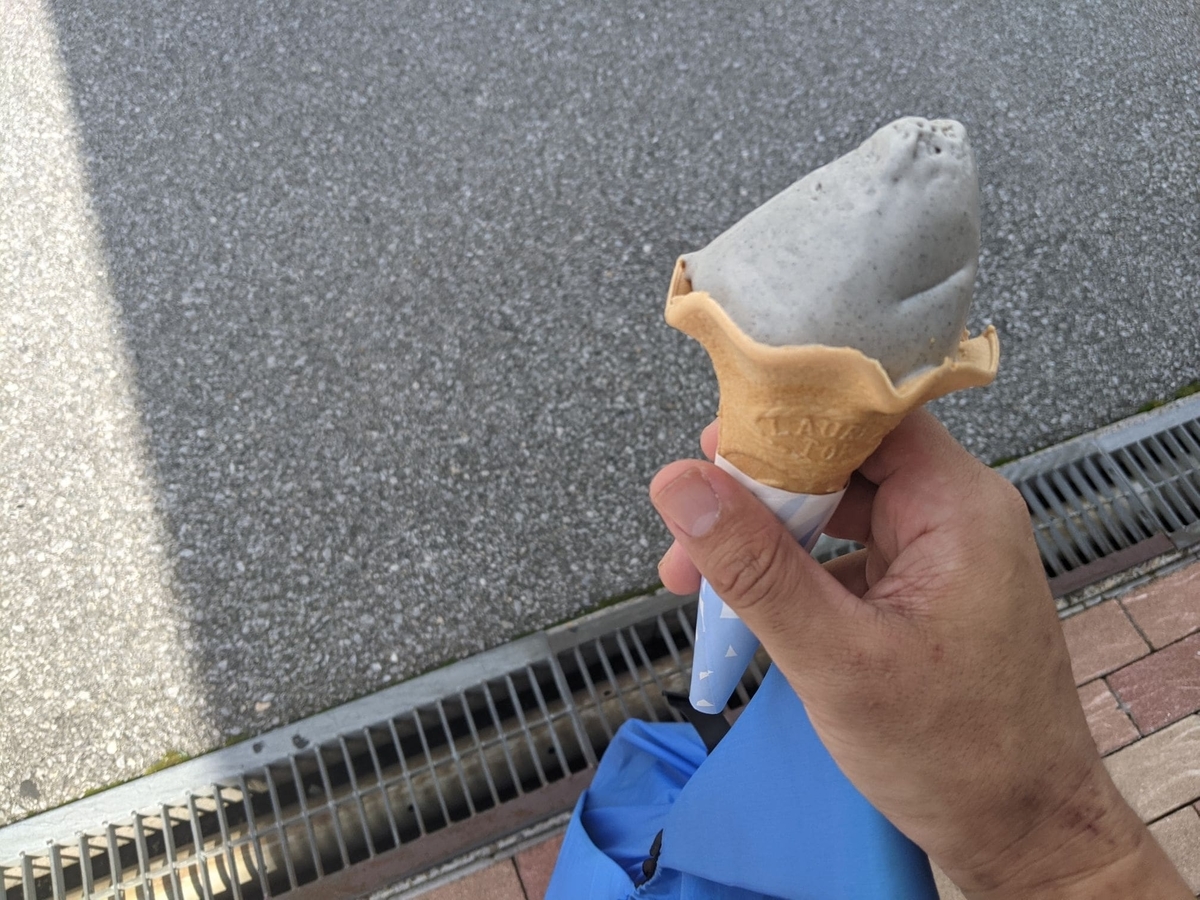 f:id:smoglog:20210703220401j:plain