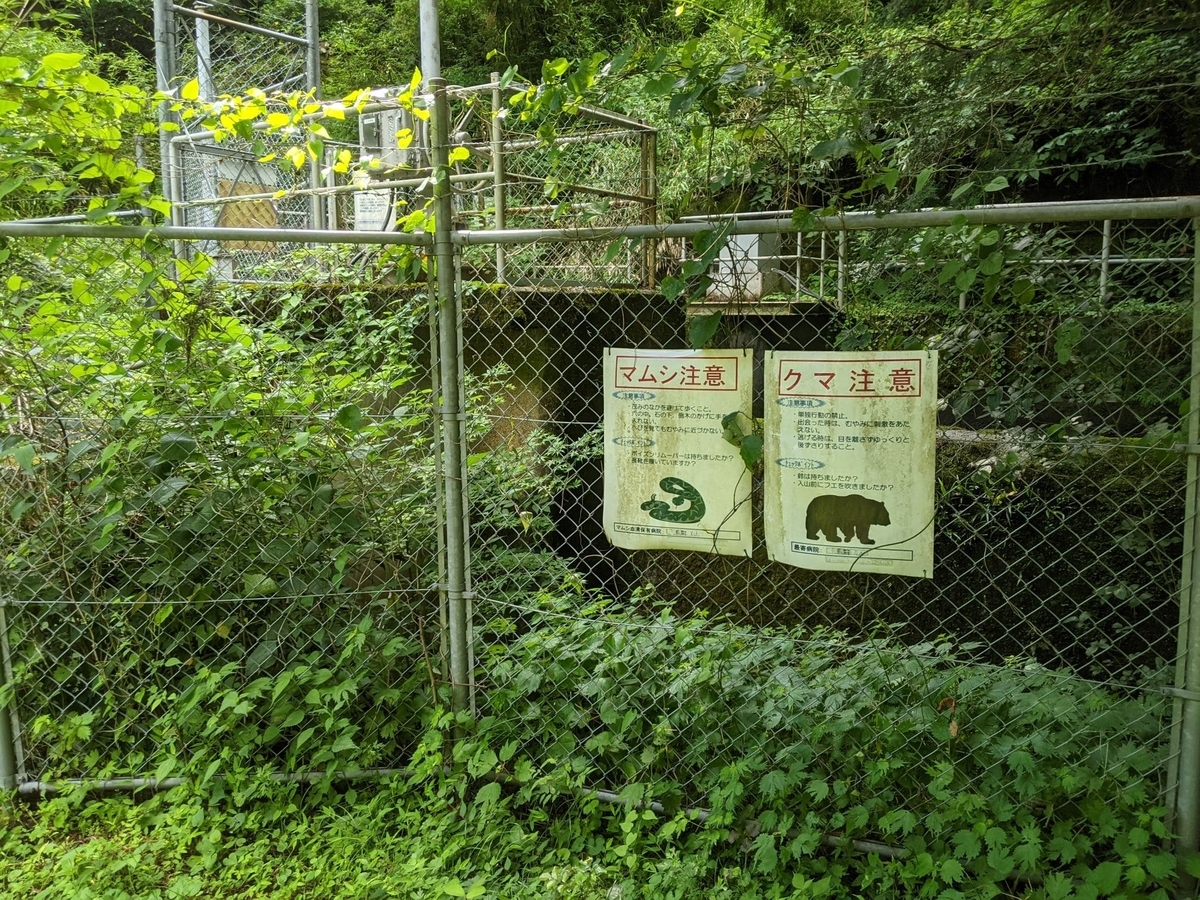 f:id:smoglog:20210703221151j:plain