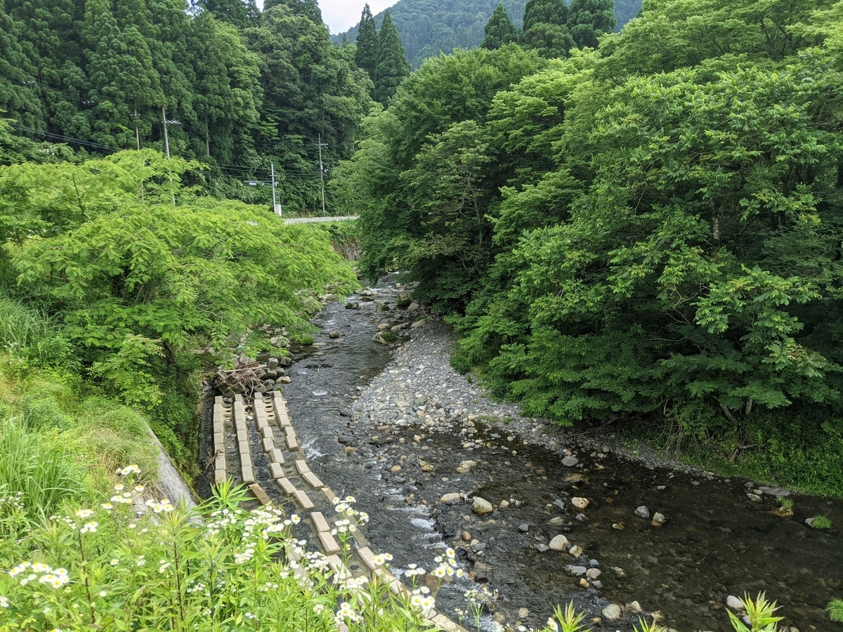 f:id:smoglog:20210703221300j:plain