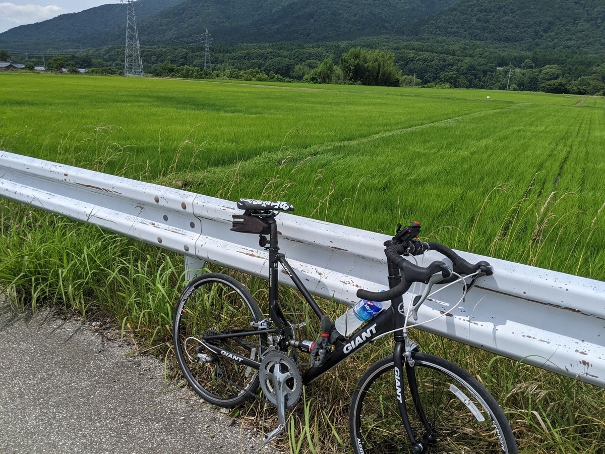 f:id:smoglog:20210703221534j:plain