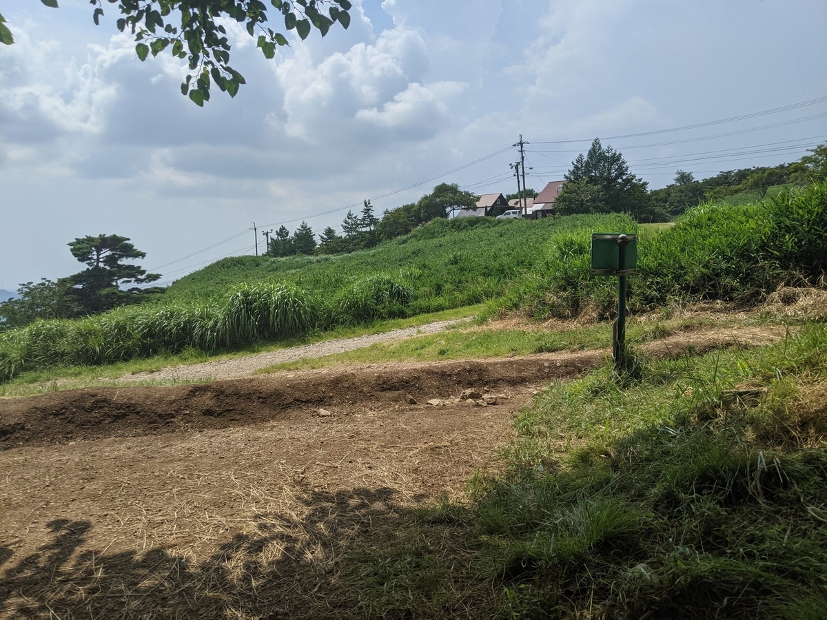 f:id:smoglog:20210801211447j:plain