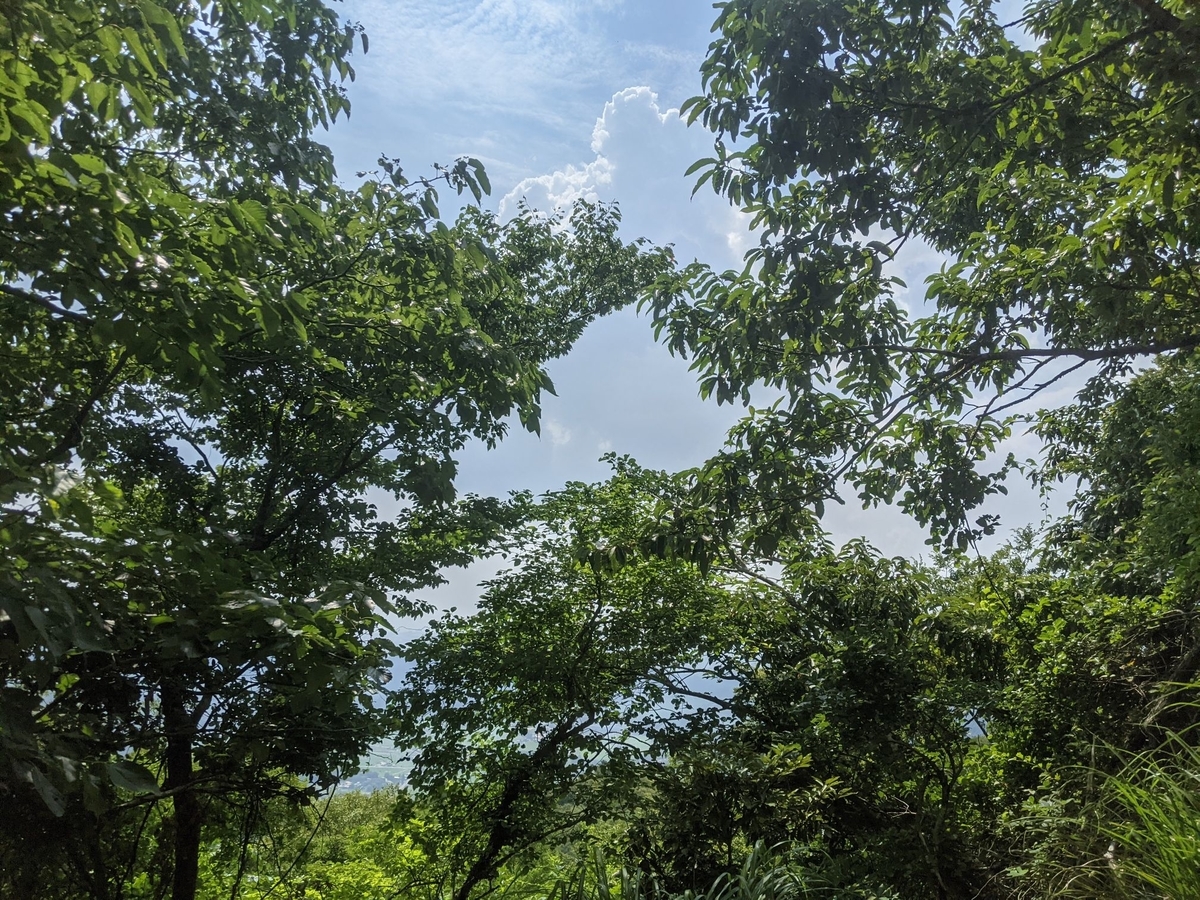 f:id:smoglog:20210801211500j:plain